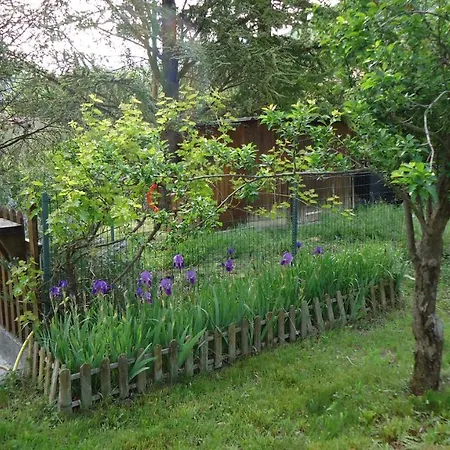 Bed & Breakfast Joëlle Et Daniel Entrevaux