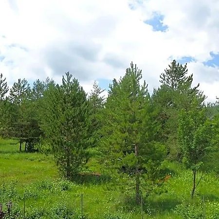 Отель типа 